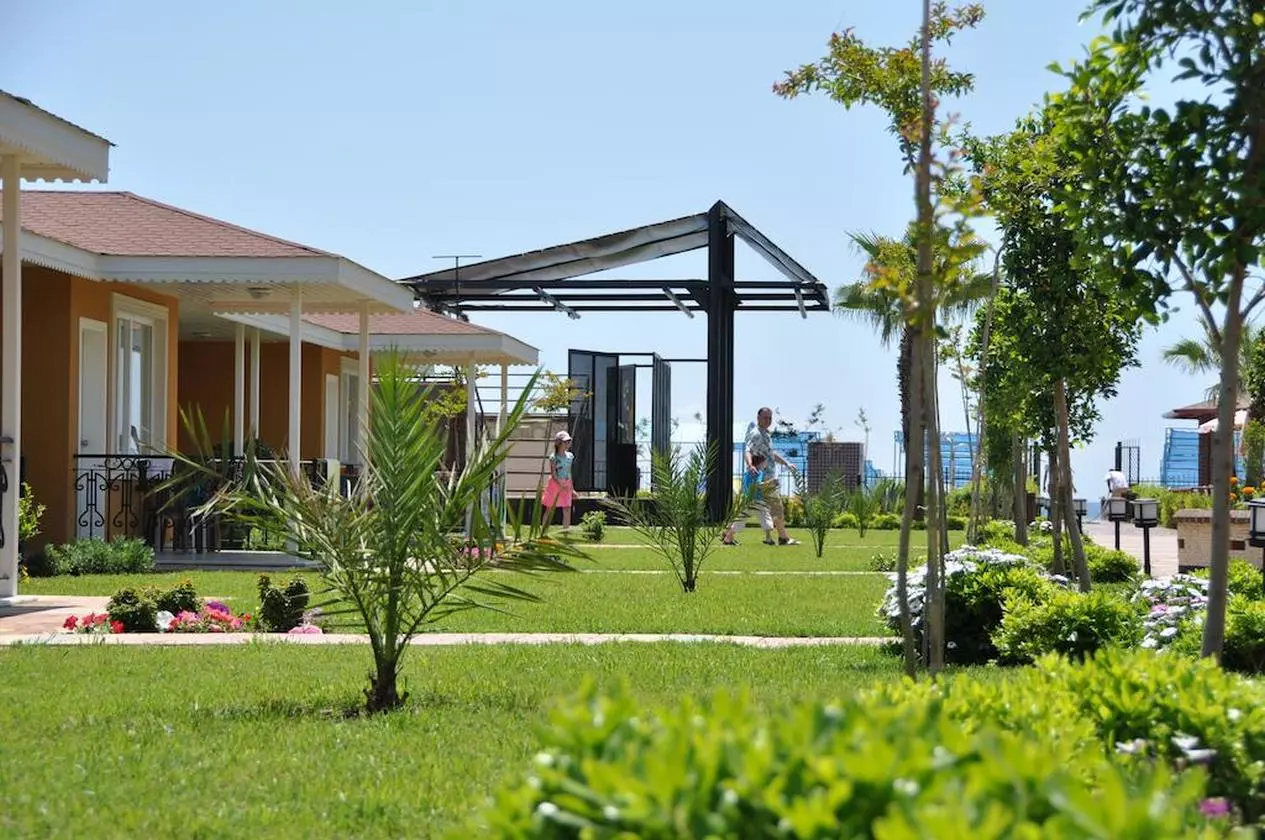 SENZAINOVA_SHABAVIZPARVAZ (4).jpg